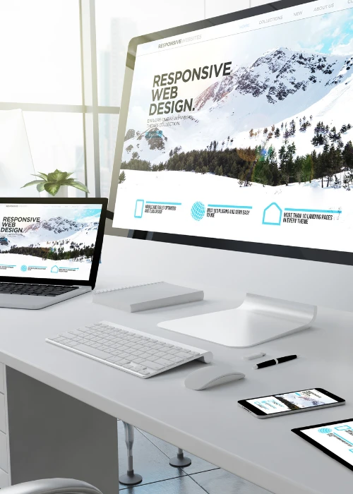 Web Design & Development